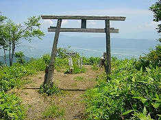 torii.jpg